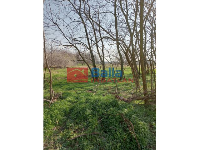 Tököl, hrsz034/61 utca, 8000 m²-es, telek