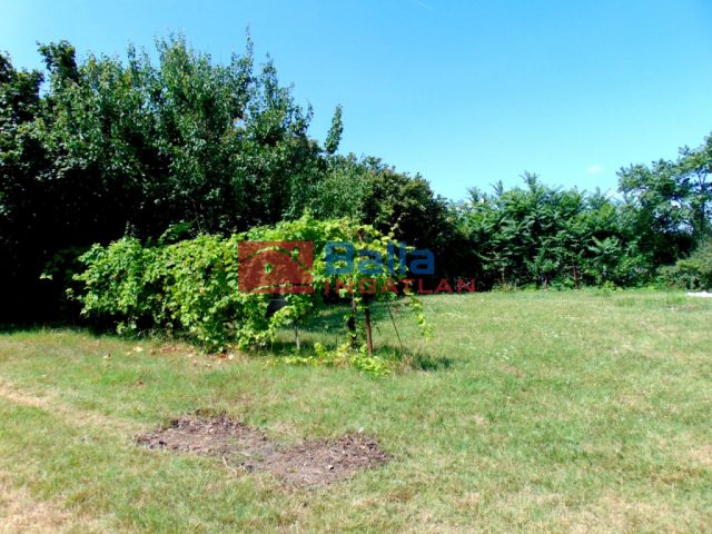 Tordas, Szabadság utca, 6542 m²-es, telek