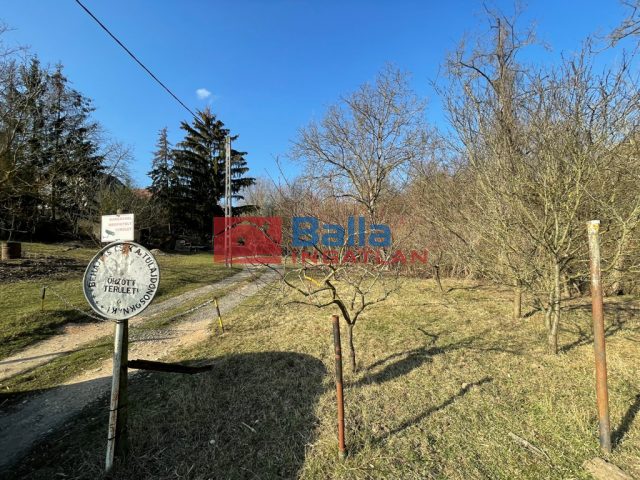 Vác, Szarvasbogár utca, 2630 m²-es, telek