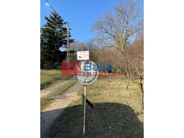 Vác, Szarvasbogár utca, 2492 m²-es, telek