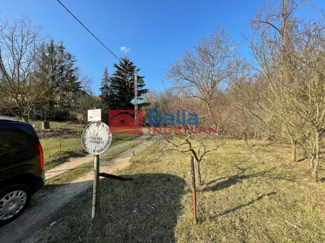 Vác, Szarvasbogár utca, 5122 m²-es, telek