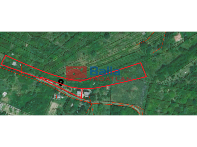 Vác, Vác, Diosvölgy utca, 2915 m²-es, mezőgazdasági ingatlan