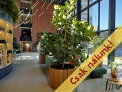 Eladó 41 m²-es társasházi lakás IX. Kerület (Középső Ferencváros (Rehabilitációs terület)), Vágóhíd utca: 86'000'000 Ft