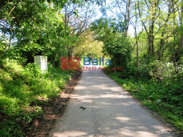 Eladó 2160 m²-es Badacsonytomaj, Badacsonyörs: 21'900'000 Ft