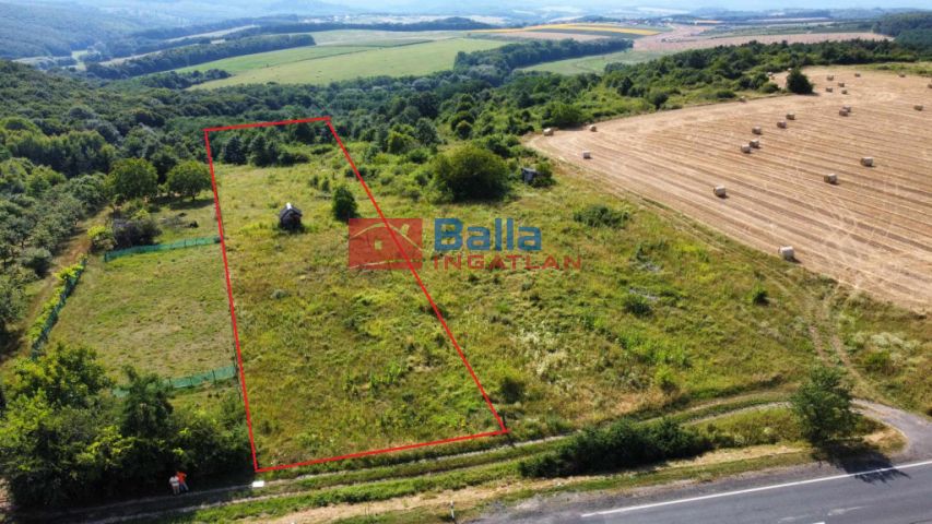 Eladó 5005 m²-es Berkenye, Berkenye külterület: 4'990'000 Ft