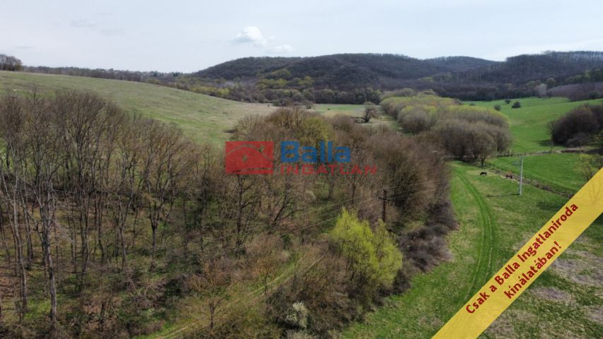 Eladó 22721 m²-es Berkenye, Külterület utca: 17'949'000 Ft