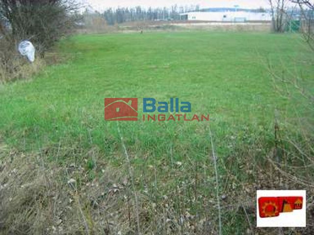 Eladó 10000 m²-es Budaörs, Szabadság utca: 280'000'000 Ft