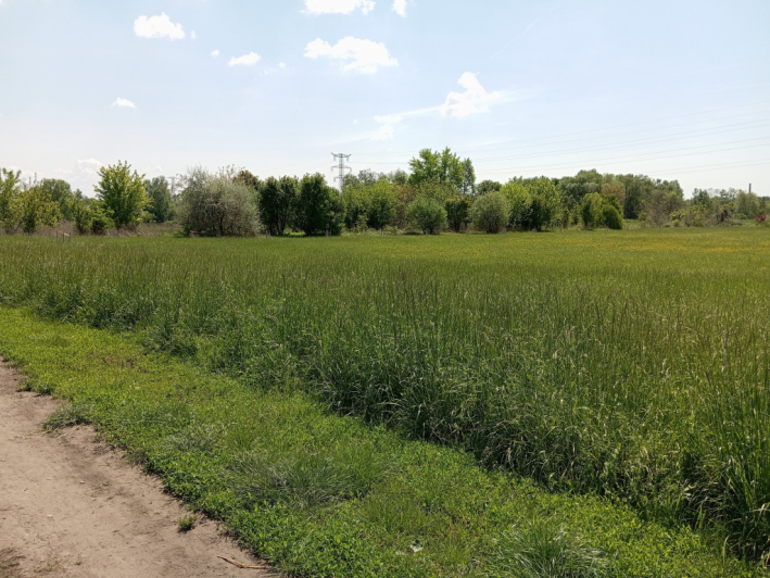 Eladó 3917 m²-es X. Kerület (Felsőrákos), Pilisi utca: 59'900'000 Ft