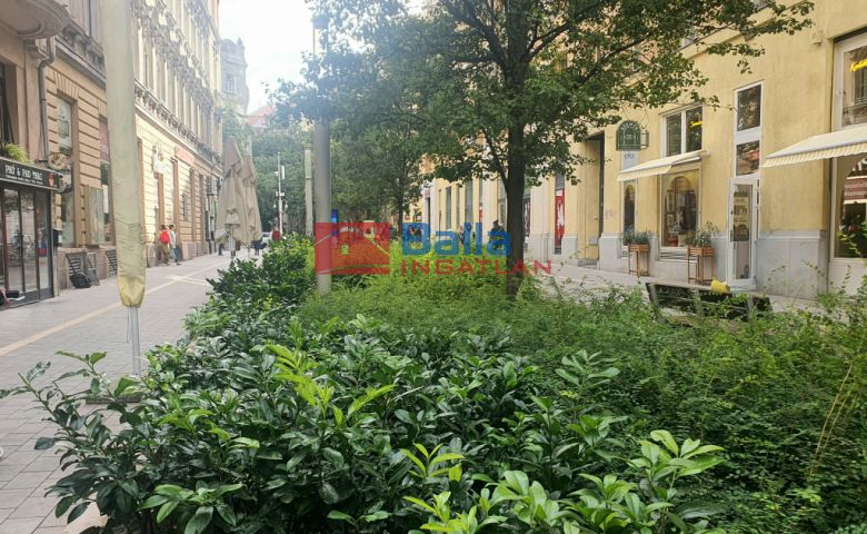 Kiadó 92 m²-es XIII. Kerület (Újlipótváros), HOLLÁN ERNŐ utca: 290'000 Ft