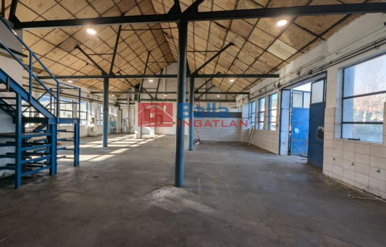 Kiadó 589 m²-es XVI. Kerület (Cinkota), Cinkota, Szabadföld úthoz közel utca: 950'000 Ft