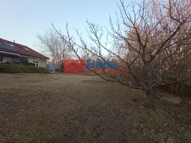 Eladó 962 m²-es XVI. Kerület (Cinkota), Lucernás u. környékén: 111'000'000 Ft