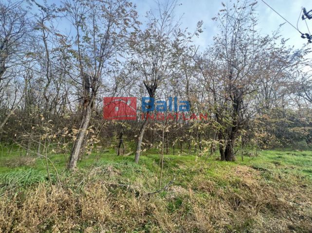 Eladó 17 m²-es mezőgazdasági ingatlan XVII. Kerület (Rákoshegy), Baross utca: 1'650'000 Ft