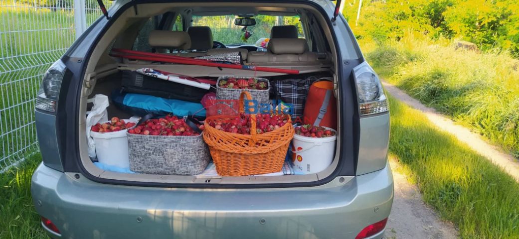 Kiadó 1000 m²-es XVII. Kerület (Rákoshegy), Rákoshegy csendes mellékutcában található utca: 140'000 Ft