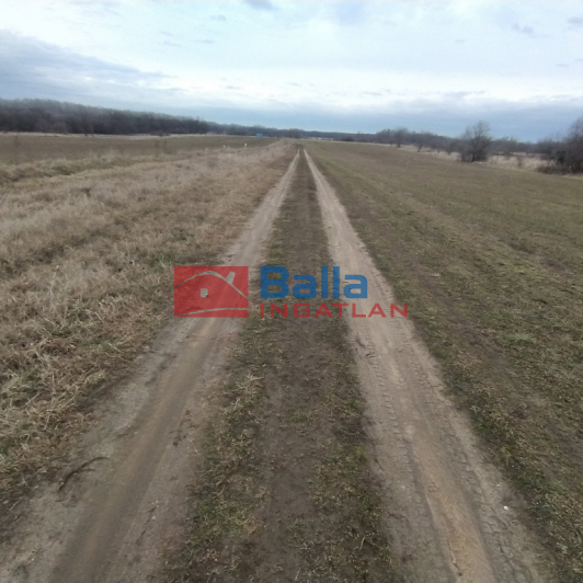 Kiadó 1000 m²-es XVII. Kerület (Rákoshegy), Reptér közeli völgy: 100'000 Ft