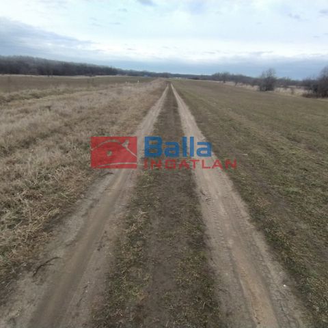 Kiadó 1000 m²-es XVII. Kerület (Rákoshegy), Reptér közeli völgy: 100'000 Ft