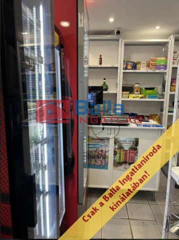 Eladó 15 m²-es XX. Kerület (Gubacsipuszta), Orsolya utca: 10'000'000 Ft