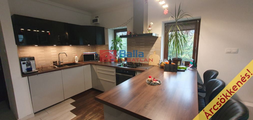 Eladó 210 m²-es XXIII. Kerület (Soroksár-felső), Duna közeli utca: 159'900'000 Ft