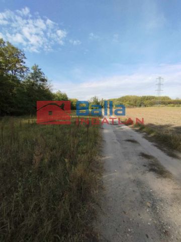 Eladó 65000 m²-es Bugyi, Rádai utca mellet: 16'000'000 Ft