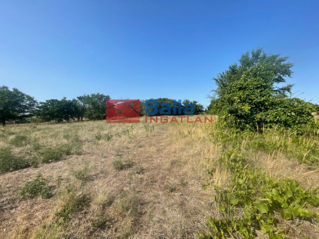 Eladó 5167 m²-es Cegléd, Városközpont közeli utca: 30'000'000 Ft