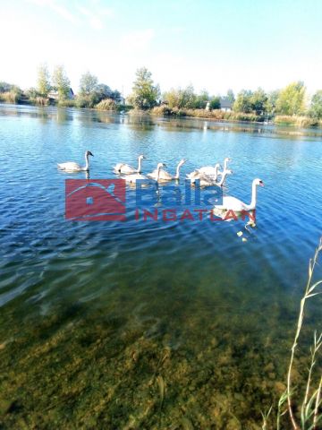 Eladó 145 m²-es Délegyháza (Délegyháza), Bányász sor: 164'900'000 Ft