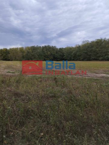 Eladó 12000 m²-es Délegyháza, Gacs sor: 9'000'000 Ft