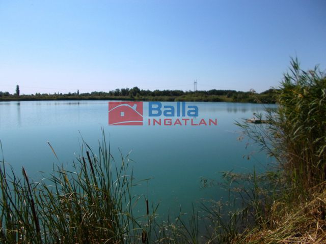 Eladó 145765 m²-es Délegyháza, Robinson park közeli: 262'800'000 Ft