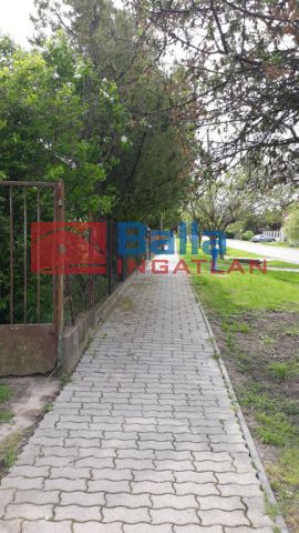 Eladó 1571 m²-es Dinnyés, Alkotmány utca: 25'000'000 Ft