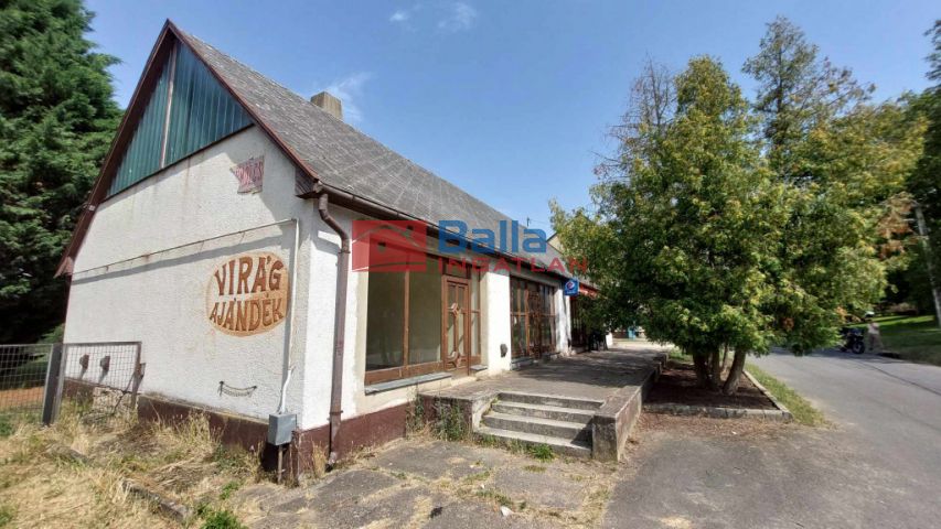 Eladó 199 m²-es Drégelypalánk, Kossuth Lajos utca: 19'900'000 Ft
