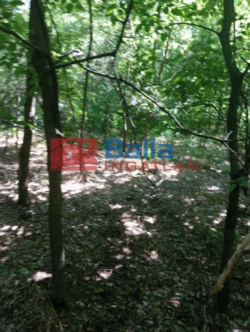 Eladó 2269 m²-es Dunaharaszti, Névtelen  utca utca: 11'000'000 Ft