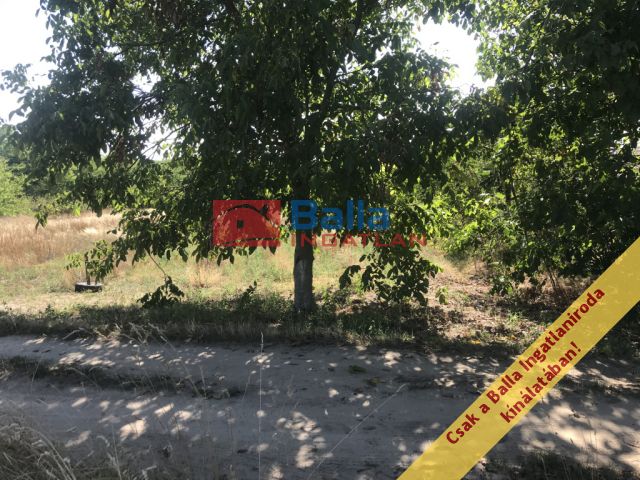 Eladó 2093 m²-es Gyömrő, Vincellér utca: 7'500'000 Ft