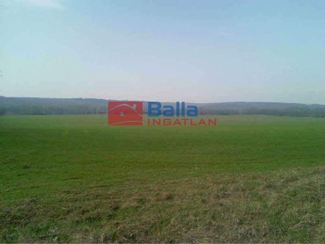 Eladó 70000 m²-es Isaszeg, Isaszeg külterület utca: 35'000'000 Ft