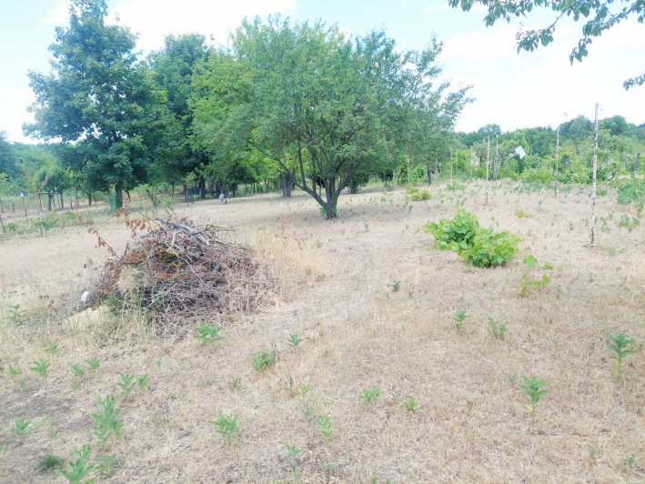 Eladó 2081 m²-es Jászberény, Neszür 7 dűlő: 3'700'000 Ft