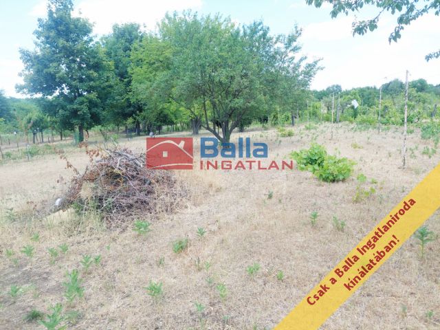 Eladó 2081 m²-es telek Jászberény, Neszür 7 dűlő: 3'700'000 Ft