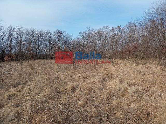 Eladó 909 m²-es Kerepes, Hungaroring ideiglenes Hév megálló: 2'500'000 Ft