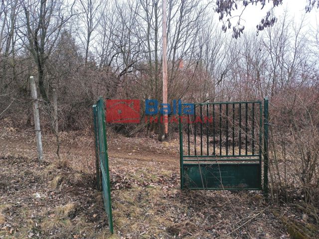 Eladó 1455 m²-es telek Kismaros, Muskotály utca: 11'500'000 Ft