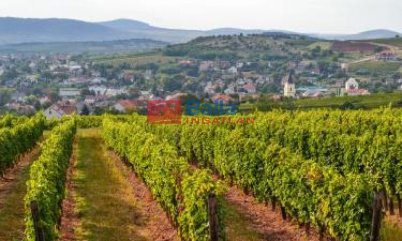 Eladó 97 m²-es családi ház Mád, . utca: 38'000'000 Ft