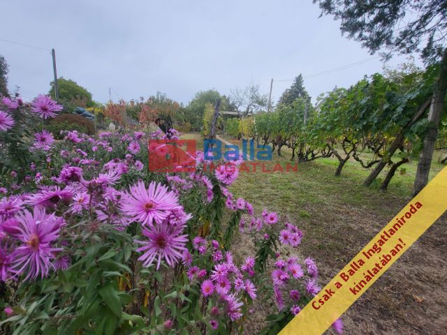 Eladó 597 m²-es Mogyoród, HÉV-állomás környéke: 44'900'000 Ft