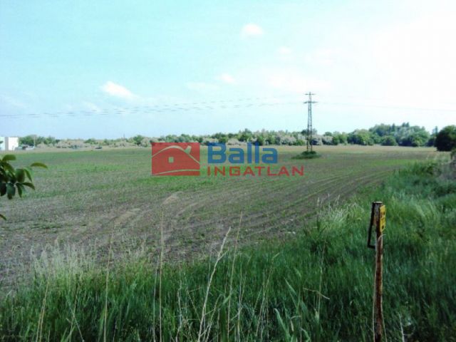 Eladó 75557 m²-es Pákozd, Fehérvári utca: 226'671'000 Ft