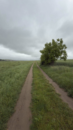 Eladó 6088 m²-es Pécel, Városközpont közeli utca: 5'800'000 Ft