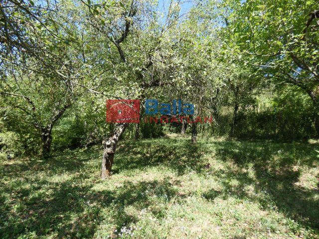 Eladó 860 m²-es Pilisborosjenő, Pilisborosjenő: 22'000'000 Ft