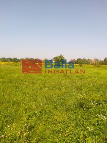 Eladó 750 m²-es Szigetszentmiklós, Tagi út közeli utca: 20'000'000 Ft