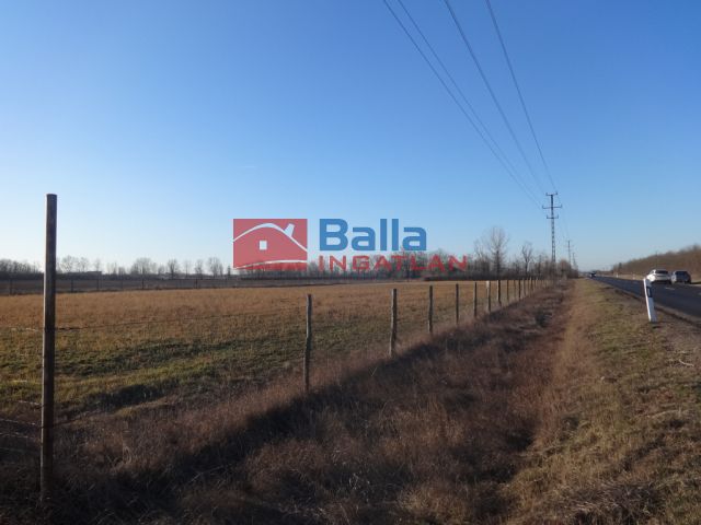 Eladó 8225 m²-es Tiszakécske, Szentkirályi út út: 22'000'000 Ft