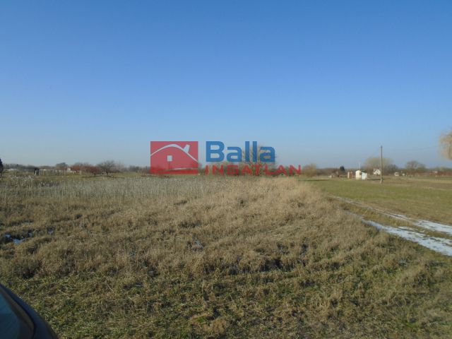 Eladó 1769 m²-es Tiszakécske, Virághegy utca: 800'000 Ft