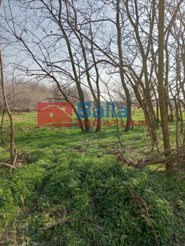 Eladó 8000 m²-es Tököl, hrsz034/61 utca: 99'000'000 Ft