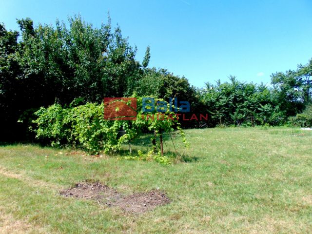 Eladó 6542 m²-es Tordas, Szabadság utca: 120'000'000 Ft