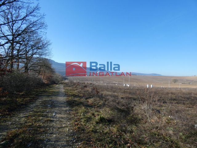 Eladó 857 m²-es Üröm, Völgyliget II.: 75'000'000 Ft