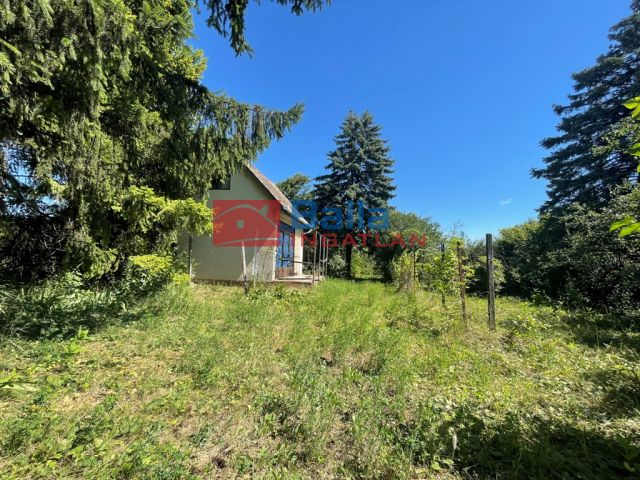 Eladó 4406 m²-es Vác, Felső-Törökhegy út: 85'917'000 Ft