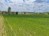 Eladó 28770 m²-es mezőgazdasági ingatlan Fót, Fót- Kisalag: 29'000'000 Ft