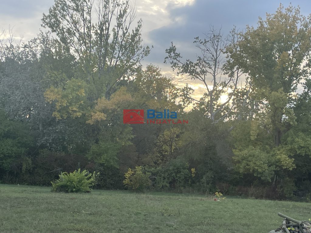 Eladó 817 m²-estelek Agárd, Agárd utca: 35'900'000 Ft