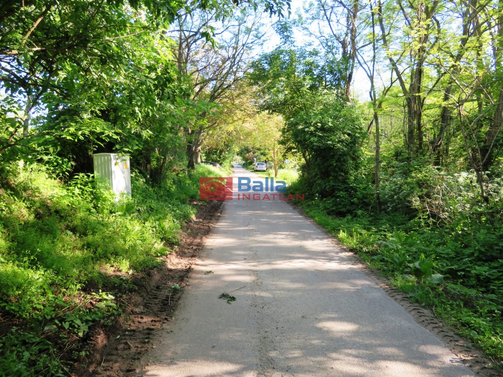 Eladó 2160 m²-estelek Badacsonytomaj, Badacsonyörs: 21'900'000 Ft